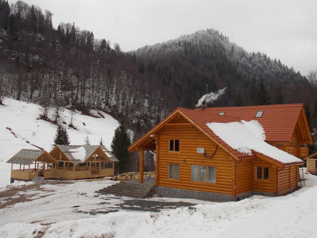 Pensiunea Izbucul Tauz Ghetari ภายนอก รูปภาพ